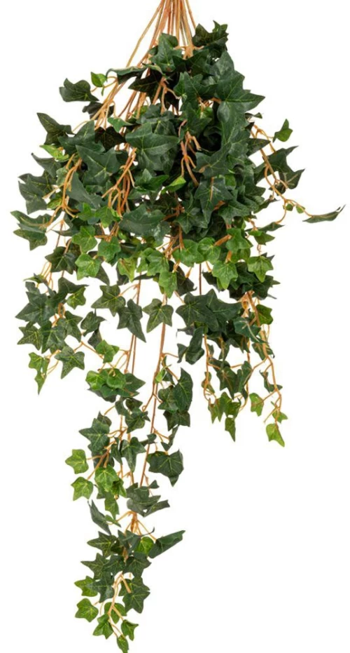 Πρασινάδα Κισσός 86069 70cm Green