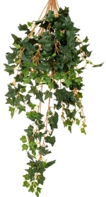 Πρασινάδα Κισσός 86069 70cm Green