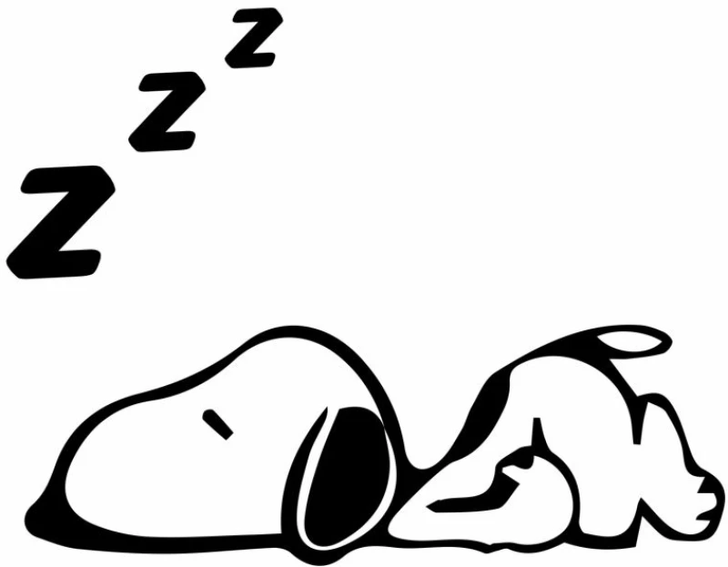 Sleeping Snoopy T-Shirt - WHITE
