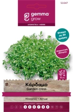 Κάρδαμο