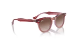 RAY BAN RJ 9098S 7154/13