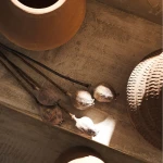 Αποξηραμένα Άνθη Gofis Home Papaver 20-11-124 Ύψος : 55, 30γρ.