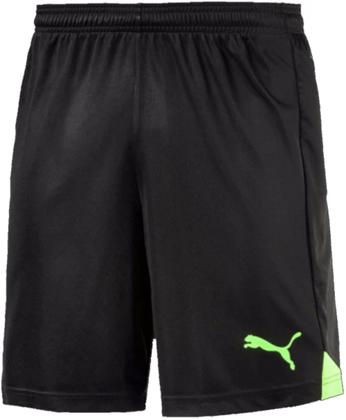 PUMA PUMA TRAINING SHORT 655208-50