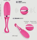 Ασύρματος Δονητής με Λειτουργία Ήχου Secret Delight Remote Controlled Deluxe Vibrator - Ροζ