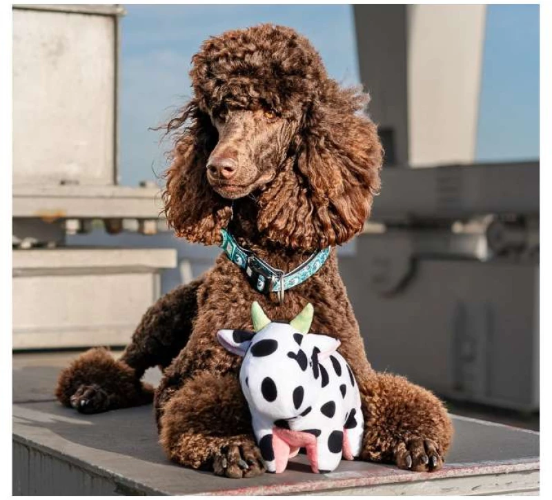 Max and Molly Παιχνίδι Σκύλου Λούτρινο Cow Claire 26cm x 19cm