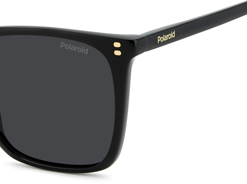 POLAROID PLD4201/S/X 807M9