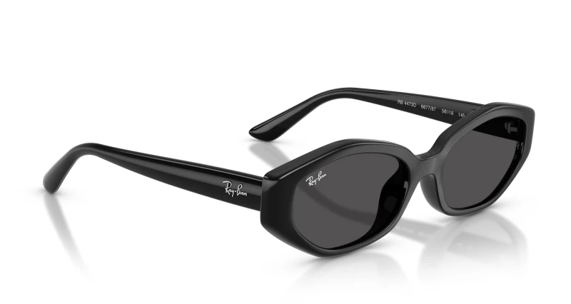 RAY BAN RB 4473D 667787