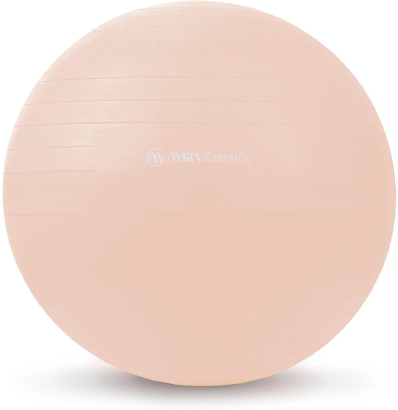 Μπάλα Γυμναστικής Amila Estetica Gym Ball 55cm 99701