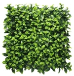 Φυλλωσιά 50cm x 50cm Gardenia