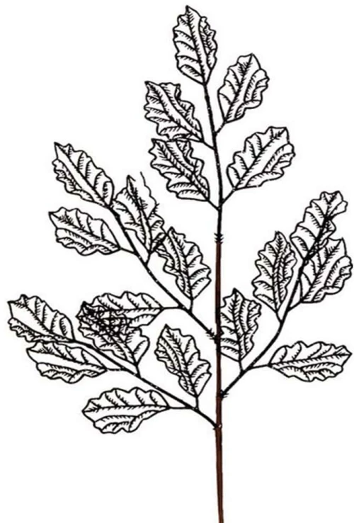 Χριστουγεννιάτικο Κλαδί 50190015 29x66cm Black