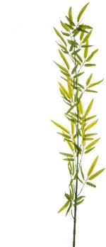 ΠΡΑΣΙΝΟ ΚΛΑΔΙ BAMBOO ΓΙΓΑΣ 1,5Μ