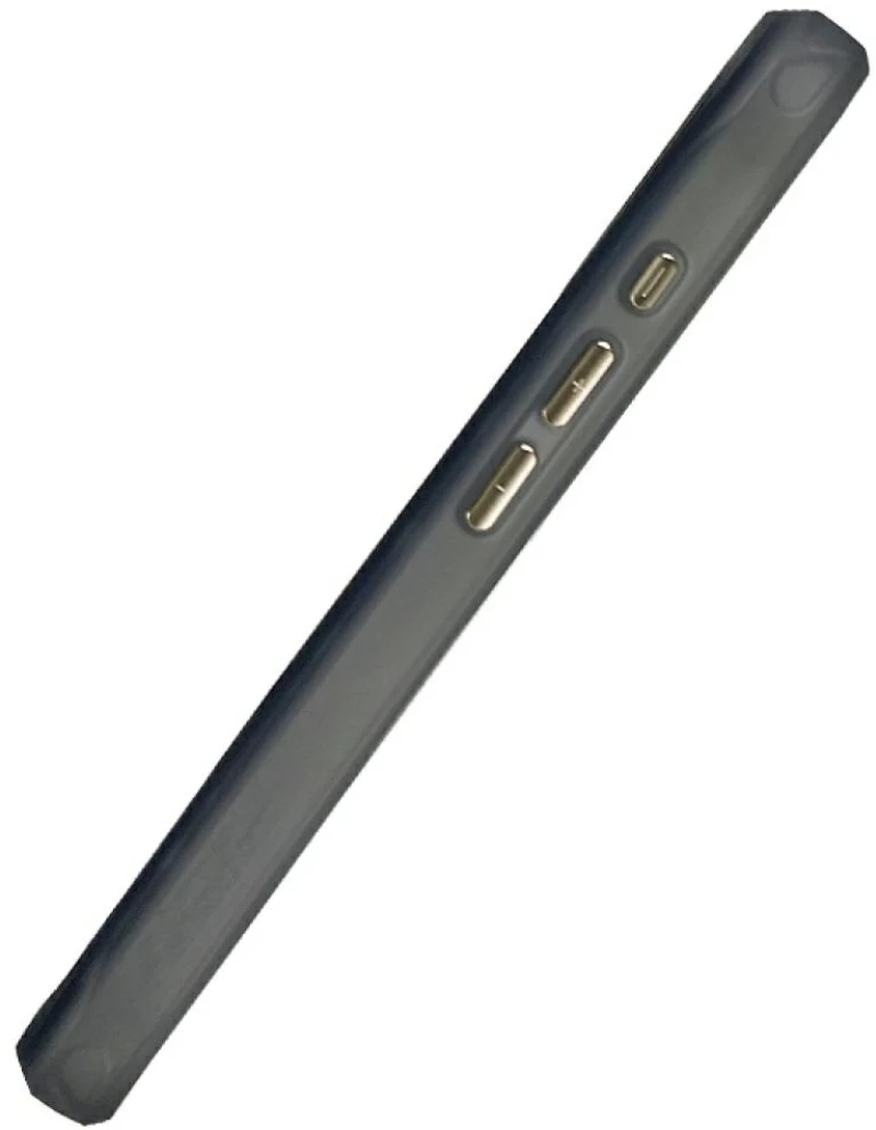 Nimmy Magnetic Fantasy Animal MagSafe Case for iPhone 16 Pro - Gold