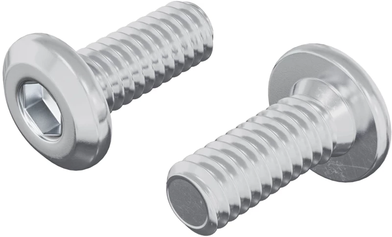 vidaXL Βίδα με κλειδί κεφαλής 2 pcs Ασημί M6 x 15 mm Ατσάλι