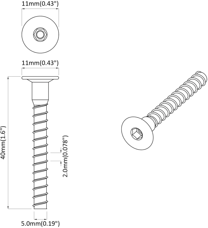 vidaXL Βίδα 2 pcs Επικαλυμμένο με ψευδάργυρο 5 x 40 mm Σίδερο