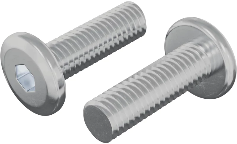 vidaXL Βίδα 2 pcs Ασημί 8 x 25 mm Ατσάλι