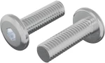 vidaXL Βίδα 2 pcs Ασημί 8 x 25 mm Ατσάλι