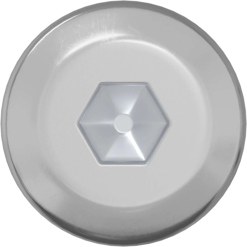 vidaXL Βίδα 2 pcs Ασημί M6 x 120 mm Ατσάλι