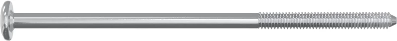 vidaXL Βίδα 2 pcs Ασημί M6 x 120 mm Ατσάλι