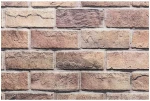 vidaXL Πάνελ τοίχου 10 pcs Καφέ και Γκρίζο 100 x 50 cm Αφρός EPS