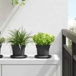 vidaXL Γλάστρες φυτών 6 pcs Μαύρο Ø 12,5 x 10 εκ Πλαστικό