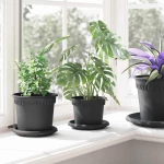 vidaXL Γλάστρες φυτών 6 pcs Μαύρο Ø 12,5 x 10 εκ Πλαστικό