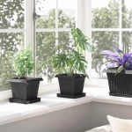 vidaXL Γλάστρες φυτών 24 pcs Μαύρο 16 x 16 x 14 εκ Πλαστικό