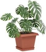 vidaXL Γλάστρες φυτών 24 pcs Κεραμιδί 20 x 20 x 16 εκ Πλαστικό