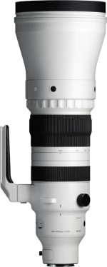 Sigma 300-600mm F4 DG OS Sport Sony E-mount