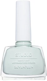 Seventeen Studio Rapid Dry Lasting Color 12ml - Seventeen STUDIO RAPID DRY LASTING COLOR No. 249