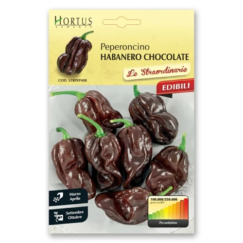 Πιπεριά Καυτερή Habanero Chocolate
