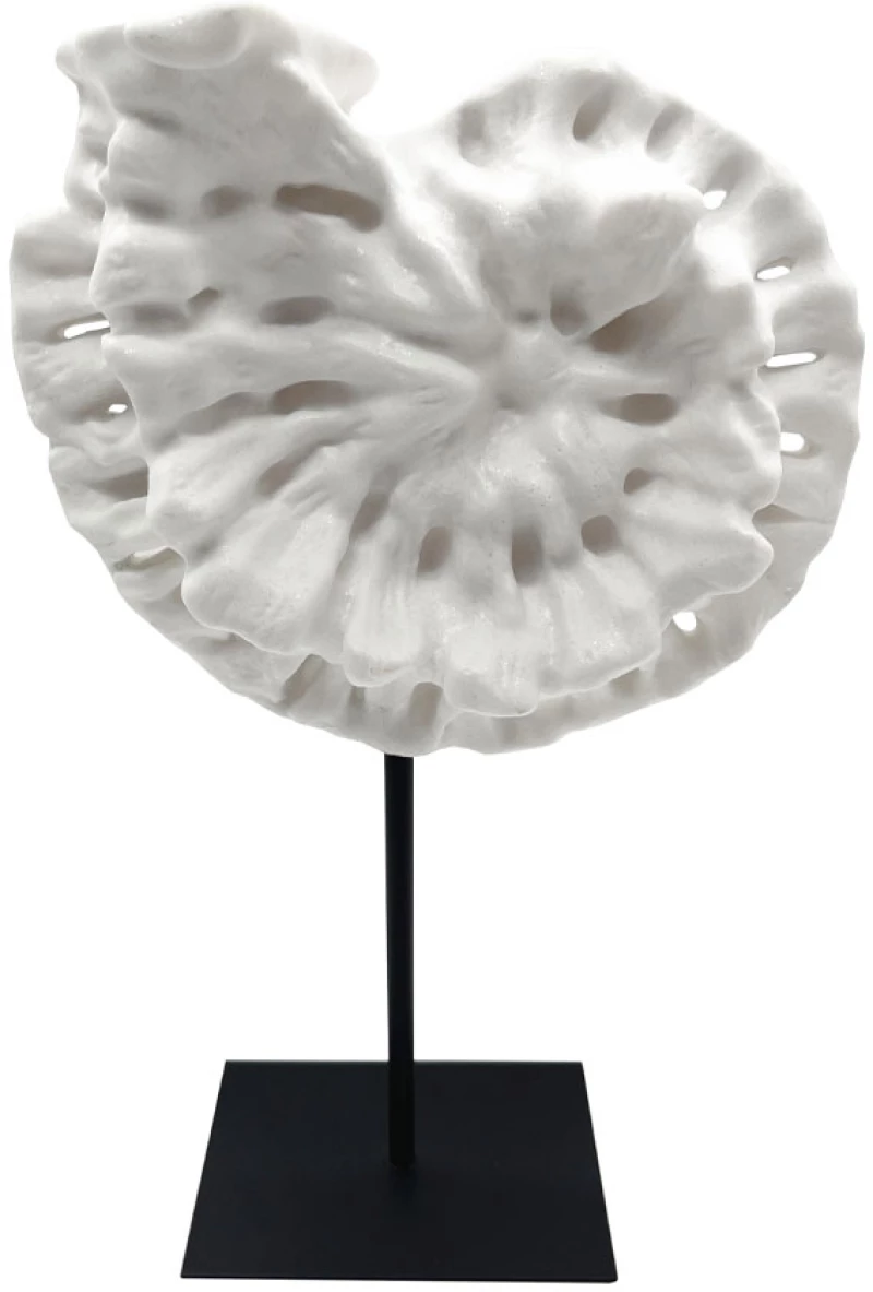 LIBERTA SHELL ΔΙΑΚΟΣΜΗΤΙΚΟ ΚΟΧΥΛΙ 25x12x41cm POLYRESIN ΑΣΠΡΟ ΜΑΥΡΟ ΜΕΤΑΛΛΟ