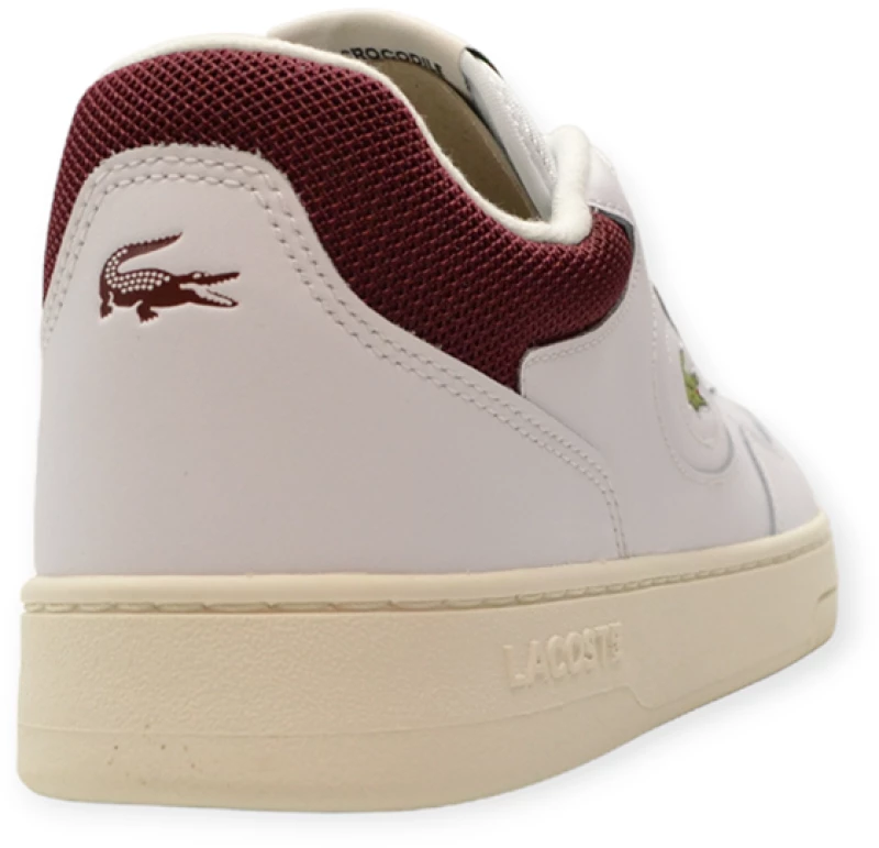 LACOSTE LINESET 2231 SMA 37-46SMA00452G1 2G1 WHT/BURG