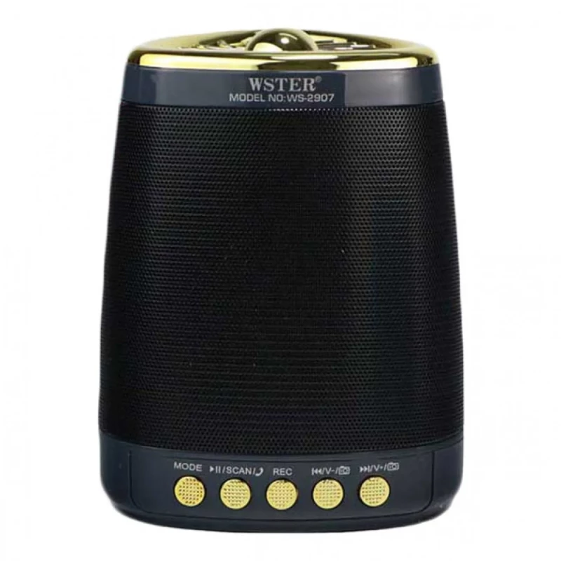 Ασύρματο Ηχείο Bluetooth Wster WS-2907 — Σκούρο Μπλέ