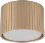 Φωτιστικό Οροφής-Σποτ Ferro 11657 1xGX53 8,4x5,7cm Champagne TK Lighting