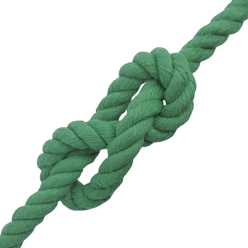 vidaXL Σχοινί Πράσινο 1,6 x 1,6 x 2500 εκ Βαμβάκι