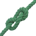 vidaXL Σχοινί Πράσινο 1,6 x 1,6 x 2500 εκ Βαμβάκι