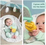 Disney Baby Κούνια - Ρηλάξ Winnie the Pooh Classic Pals Milestone
