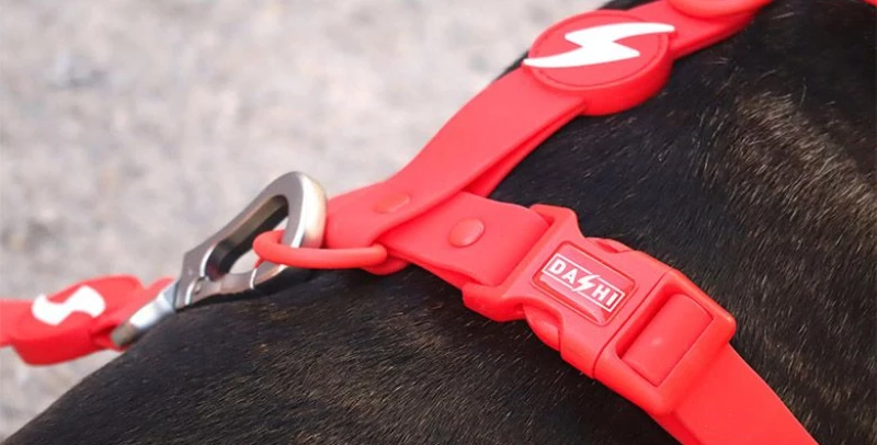 Σαμαράκι Σκύλου Dashi Colorflex Red Back Harness Small 1,5x32-53cm