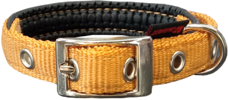 Περιλαίμιο Pet Interest Με Επένδυση XS 1,6cm x 35cm Χρυσό