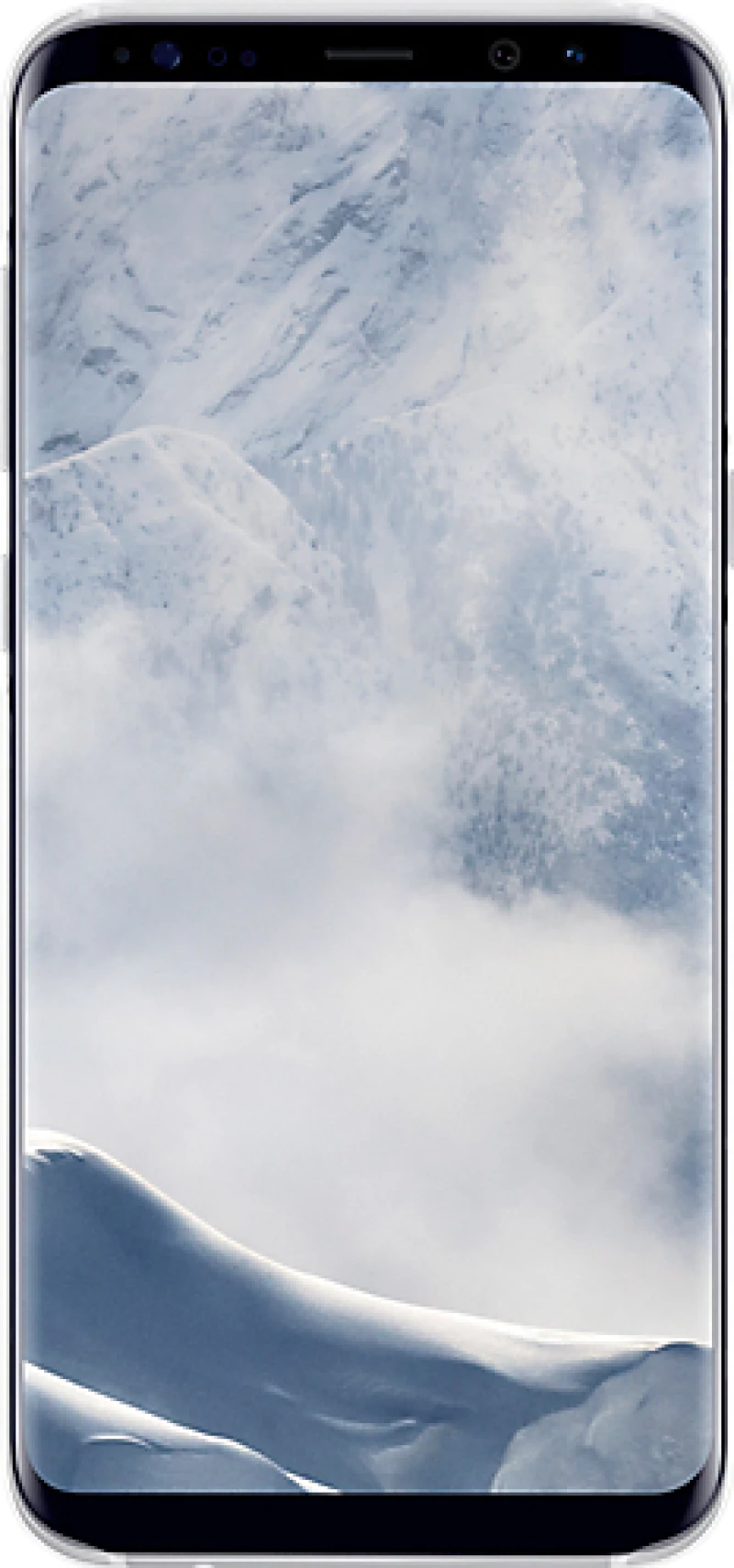 Samsung Clear Cover Silver (Galaxy S8+)