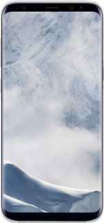Samsung Clear Cover Silver (Galaxy S8+)