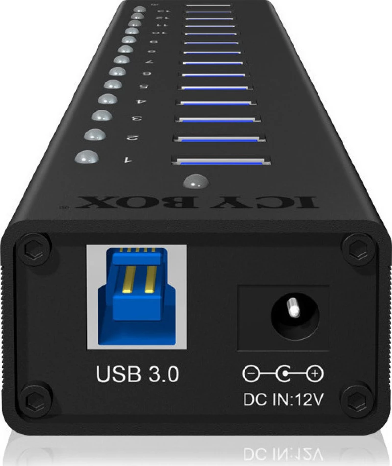RaidSonic Icy Box IB-AC6113