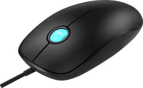Powertech PT-364 Ενσύρματο Ποντίκι Μαύρο