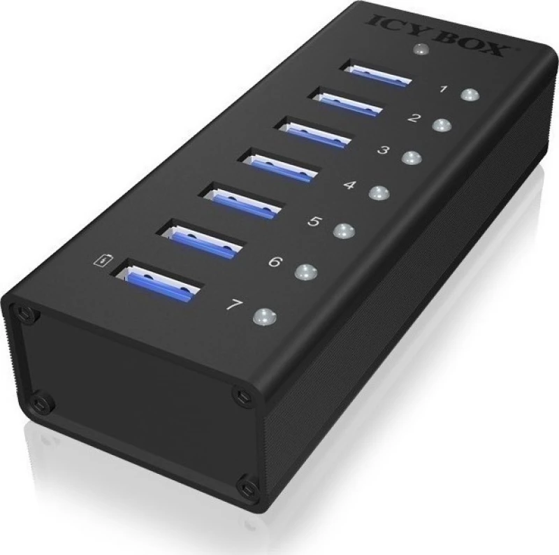 RaidSonic Icy Box IB-AC618