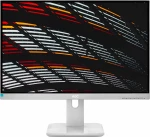 AOC 24P1 White