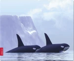 SpeedLink SILK Mousepad Orca 230mm