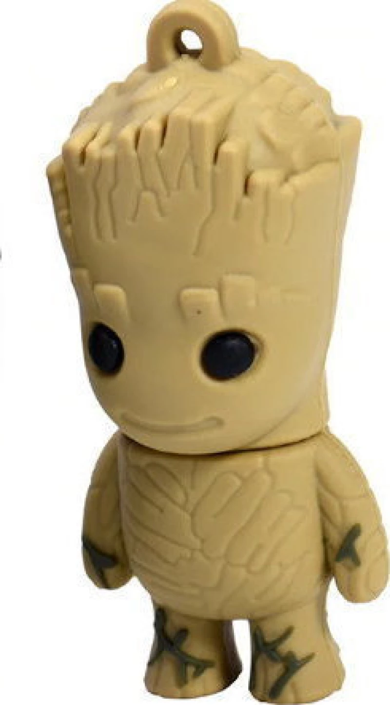Groot 4GB USB 2.0