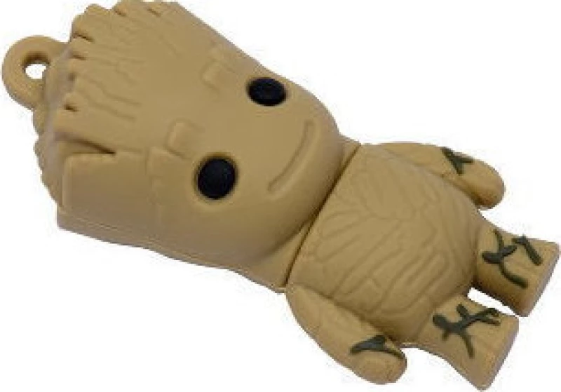 Groot 4GB USB 2.0