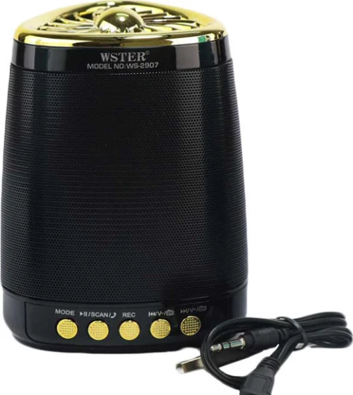 WSTER WS-2907 Ηχείο Bluetooth Black