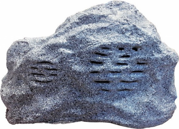 Ηχείο Κήπου 100V 6,5" Αδιάβροχο